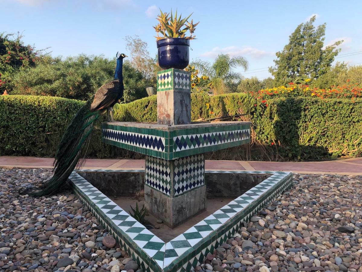 Riad Hamdani Derroua Zewnętrze zdjęcie